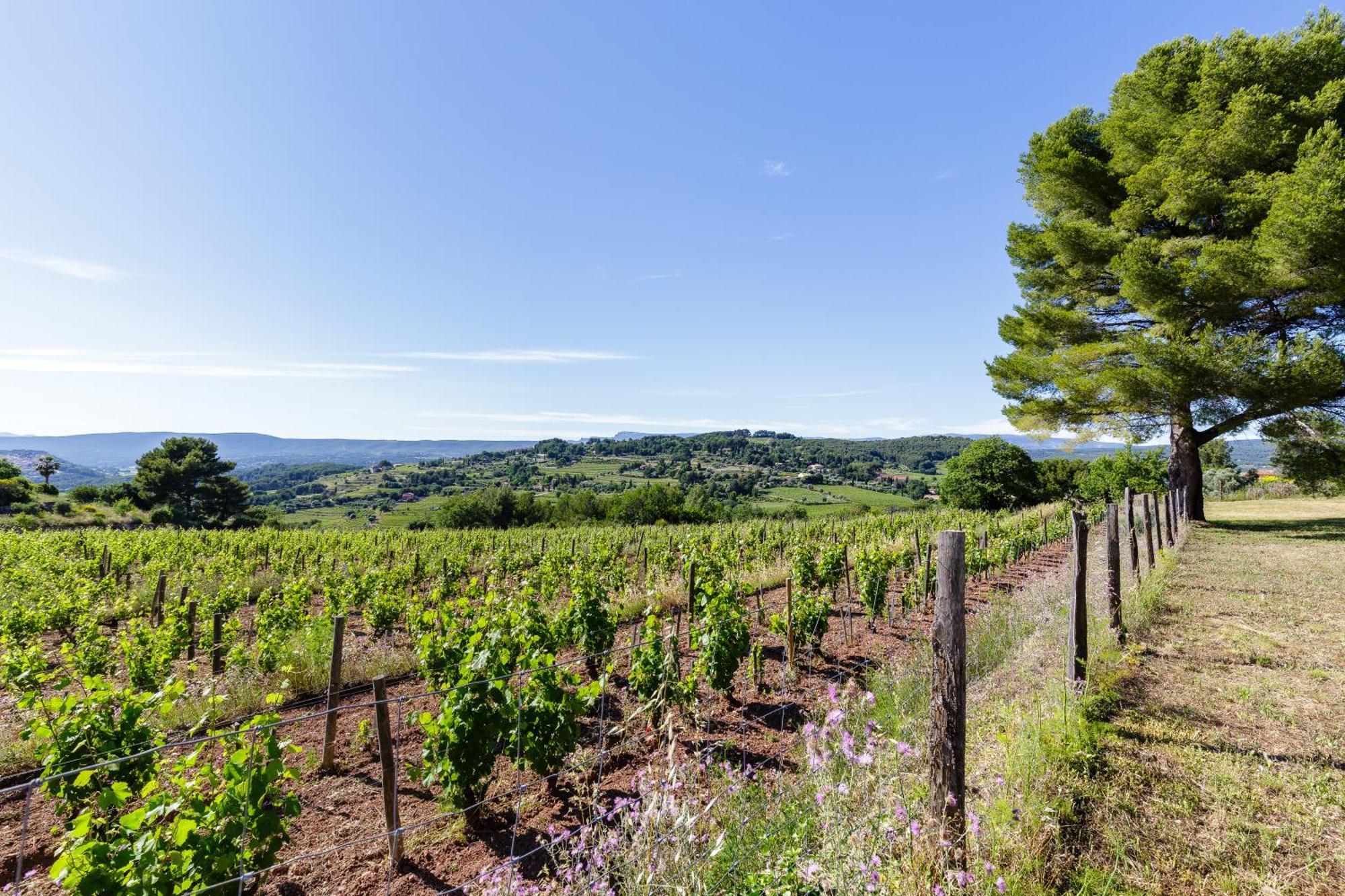 Lodges Park Castellet Provence - Gites Dans Les Vignes Aoc Bandol A 15 Min Des Plages Et Du Circuit Paul Ricard F1 Le Beausset Cameră foto
